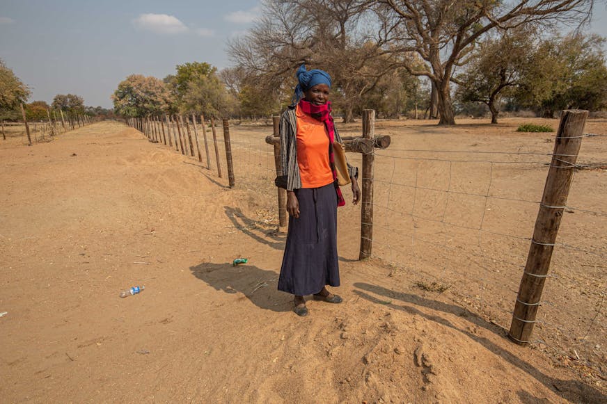 DRA Zimbabwe Joint Response, Ngwenya bij het grenshek